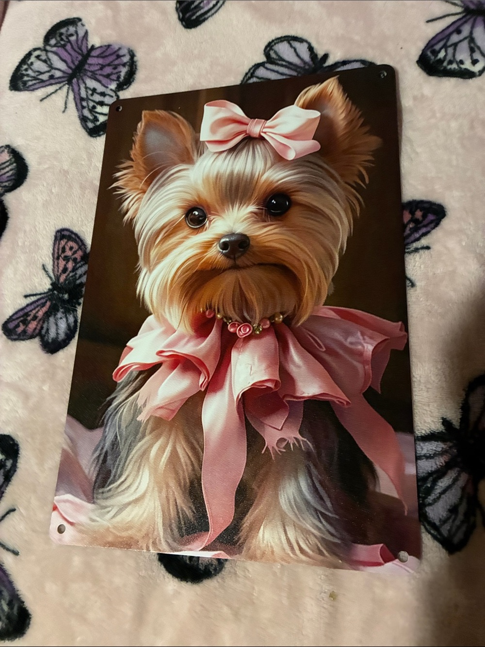 Cute Yorkshire Terrier Dog Wearing a Big Pink Bow Metal Wall Art